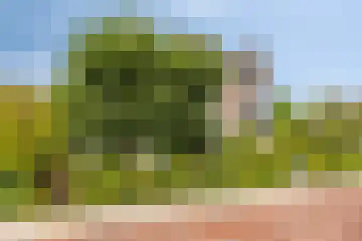 Hogeweg 27 Velp thumbnail 98