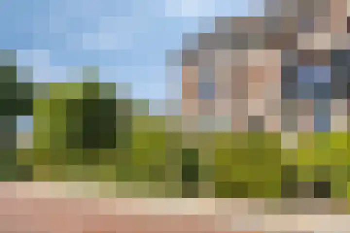 Hogeweg 27 Velp thumbnail 99