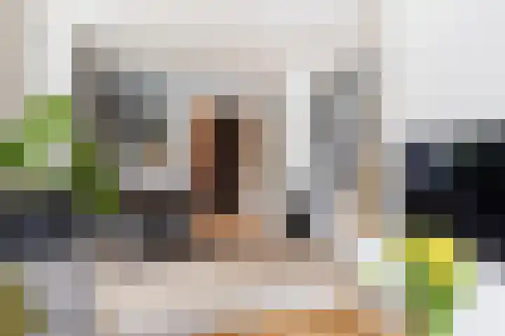 Hogeweg 3 Apeldoorn thumbnail 11