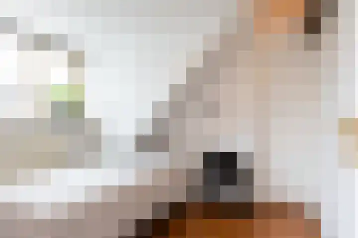 Hogeweg 3 Apeldoorn thumbnail 15