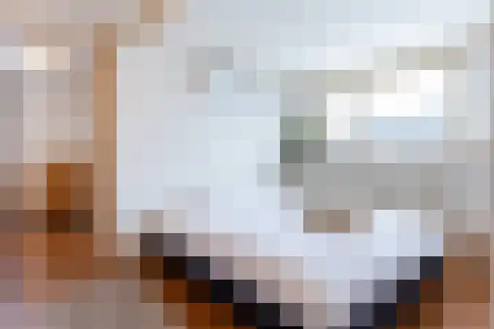Hogeweg 3 Apeldoorn thumbnail 19