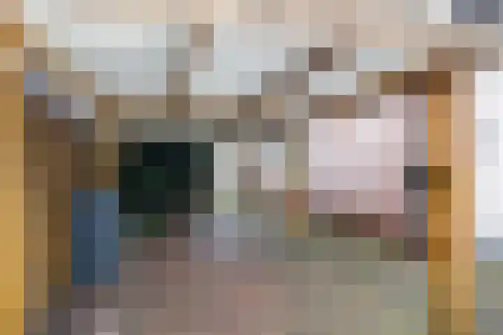 Hogeweg 3 Apeldoorn thumbnail 21