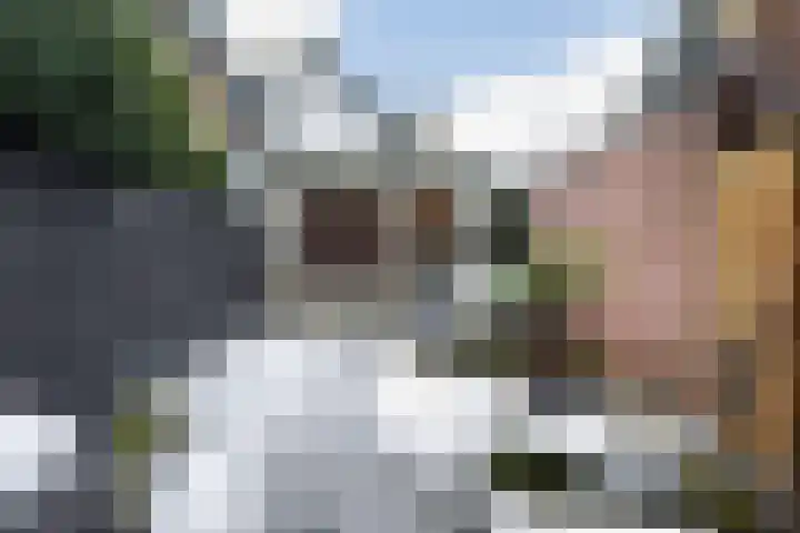 Hogeweg 3 Apeldoorn thumbnail 27