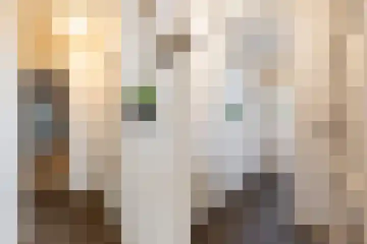 Hogeweg 3 Apeldoorn thumbnail 5