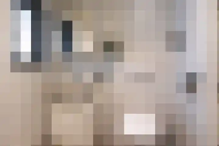 Hogeweg 3 Apeldoorn thumbnail 6
