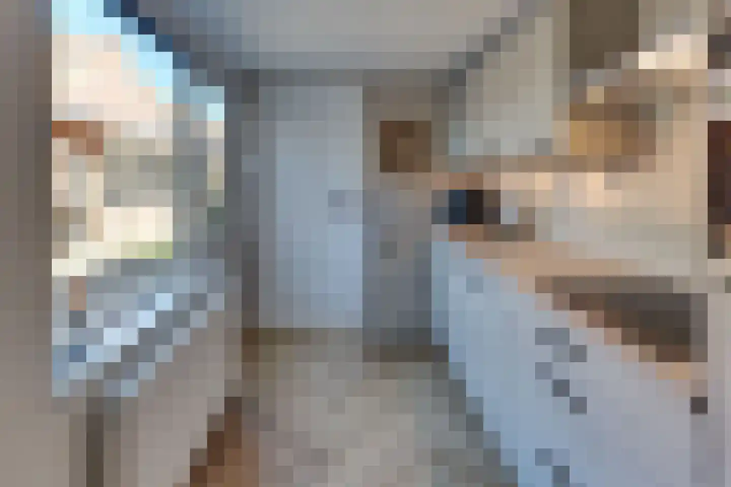 Hogeweg 3 Harderwijk thumbnail 16