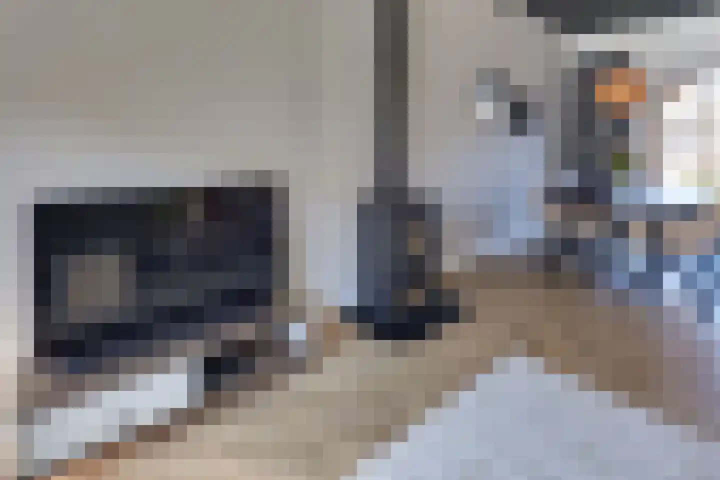 Hogeweg 3 Harderwijk thumbnail 30