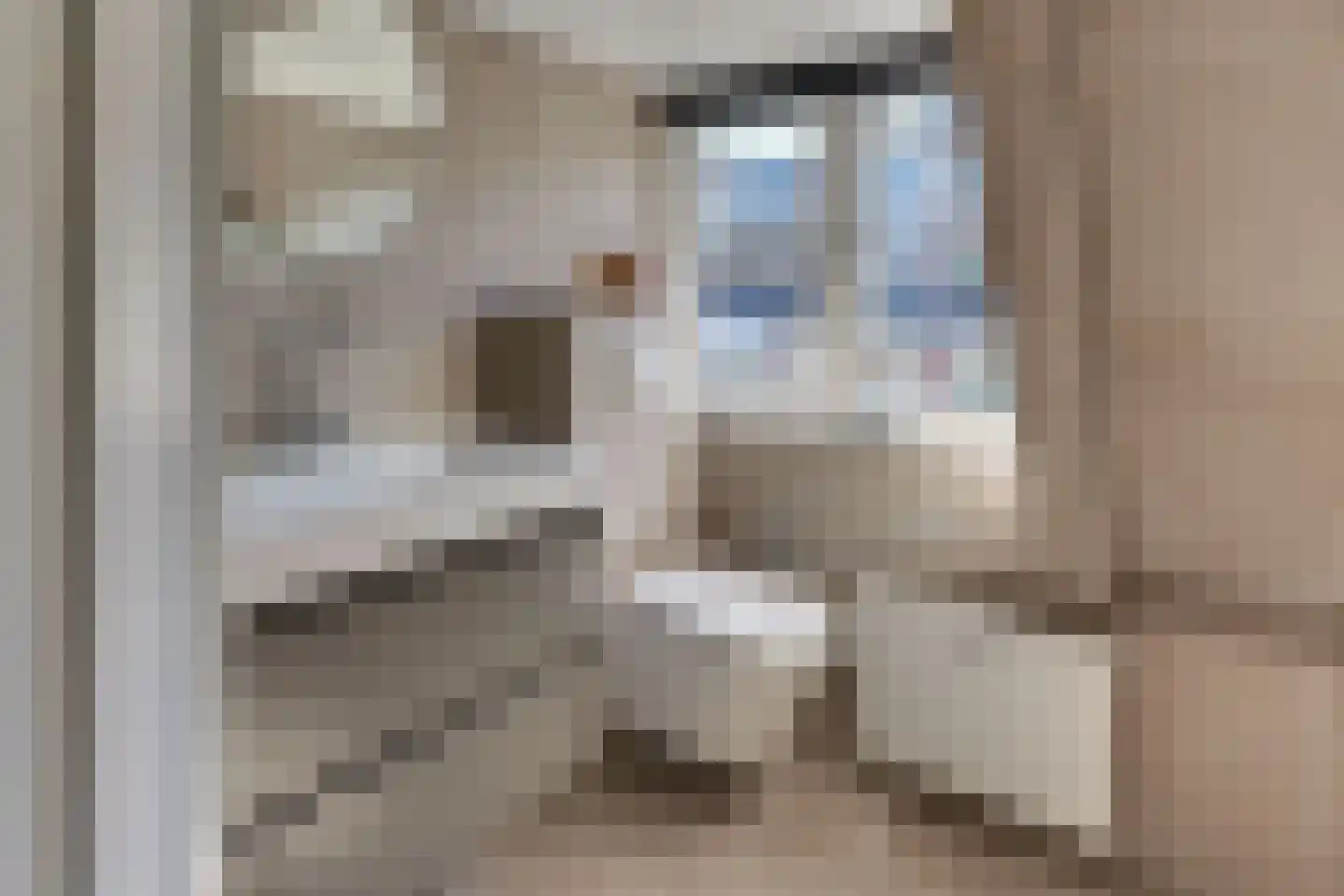 Hogeweg 3 Harderwijk thumbnail 43