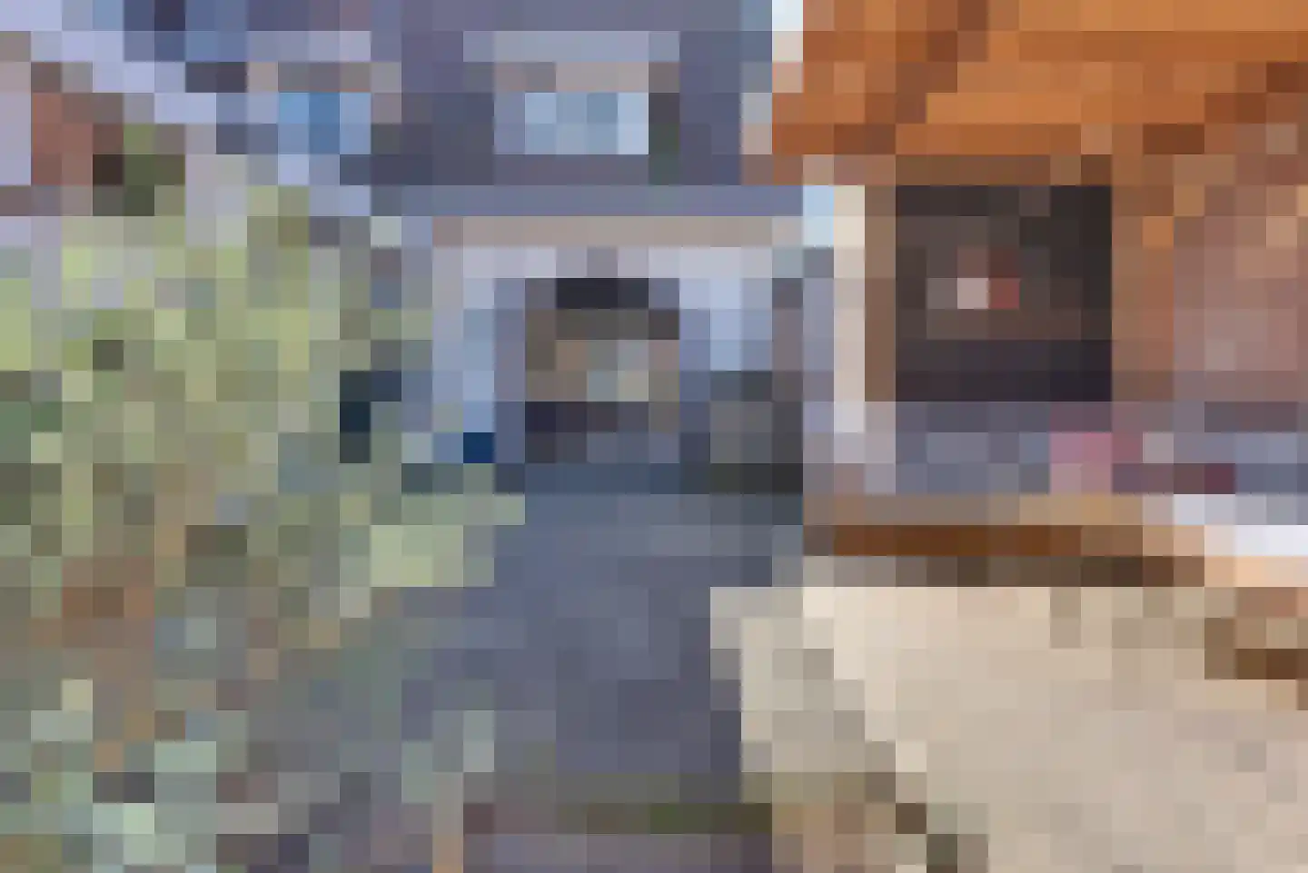 Hogeweg 3 Harderwijk thumbnail 59