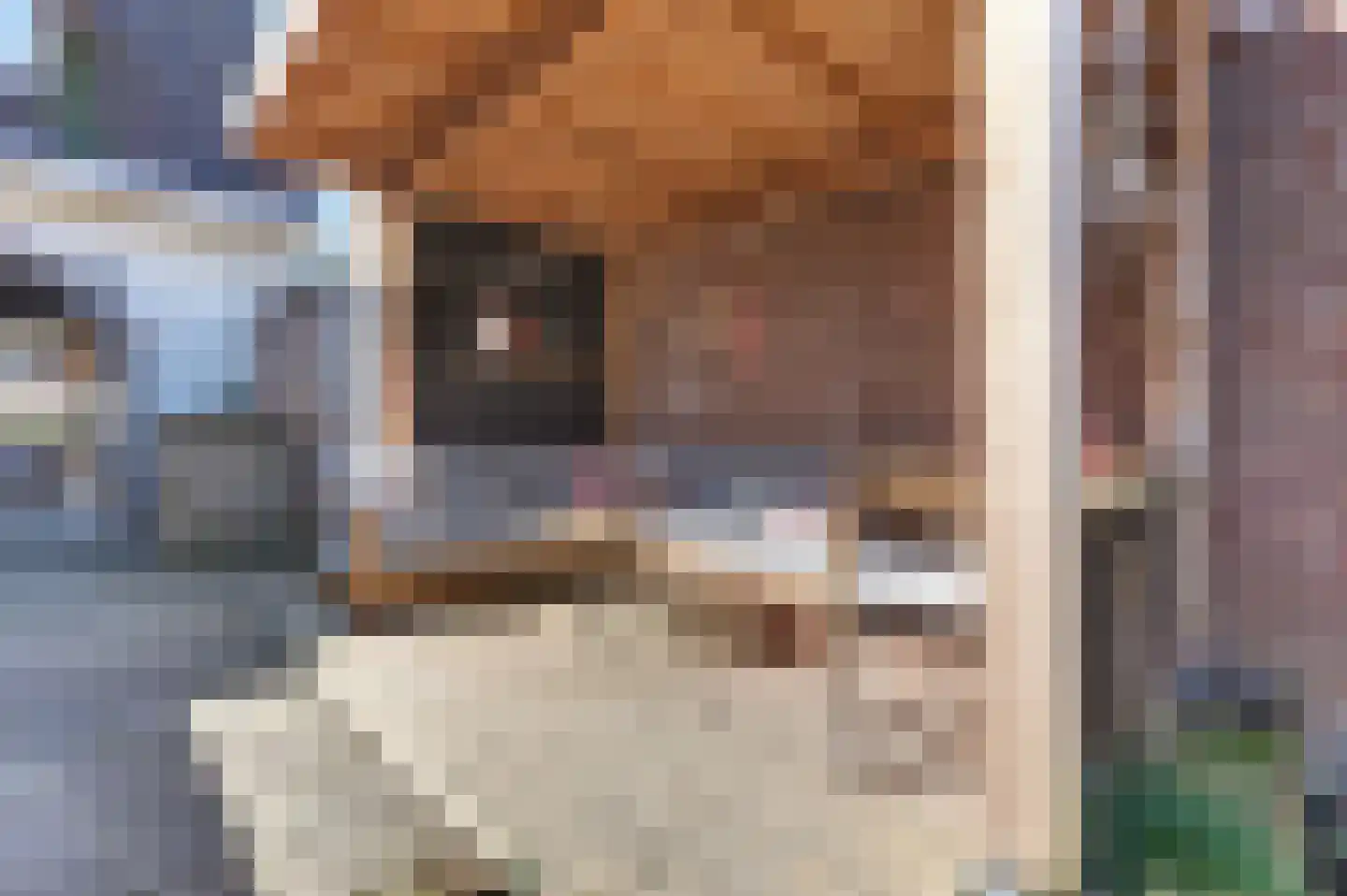 Hogeweg 3 Harderwijk thumbnail 61