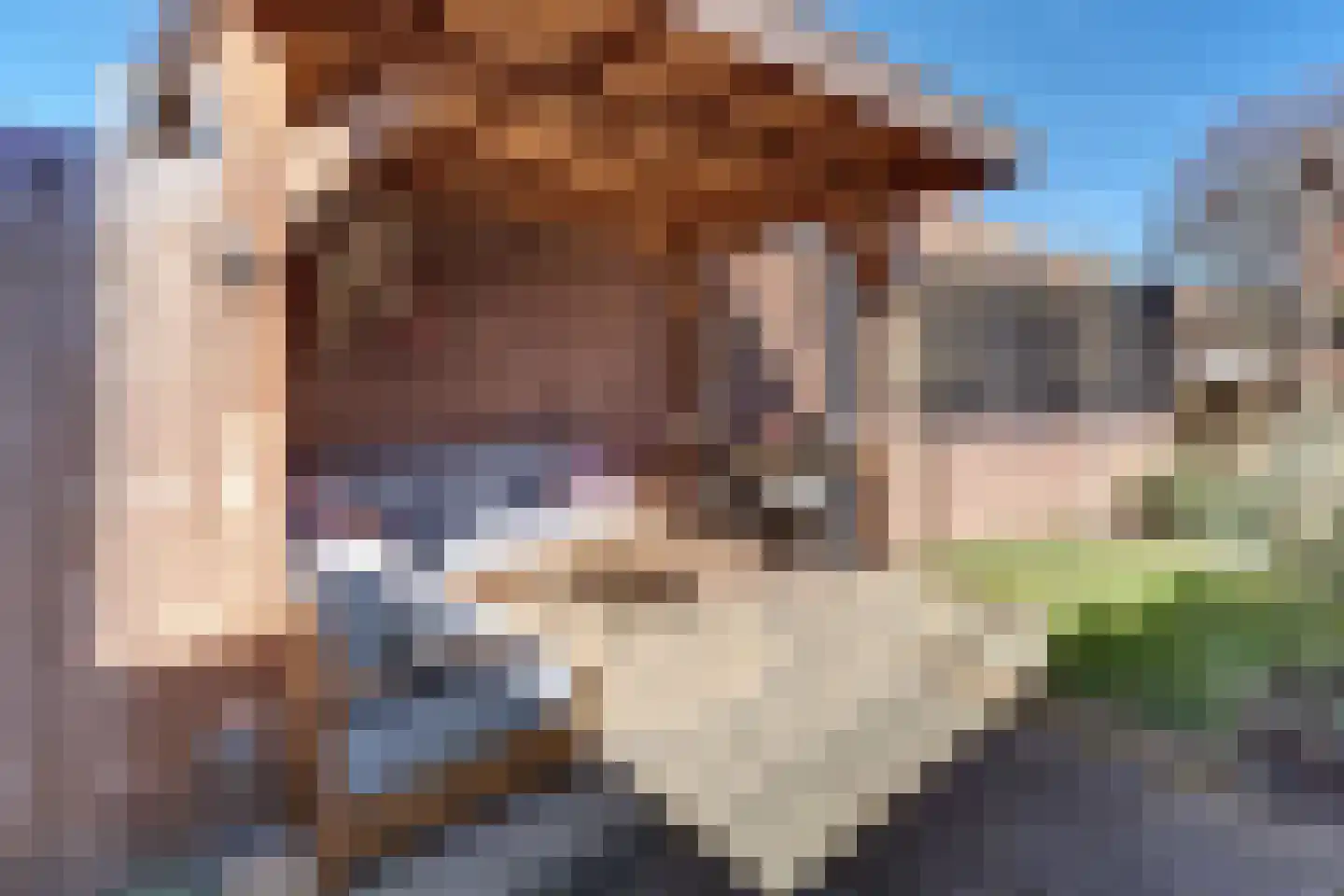 Hogeweg 3 Harderwijk thumbnail 63