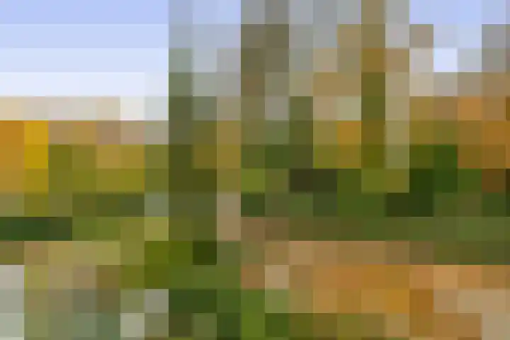 Hogeweg 3 Venlo thumbnail 11