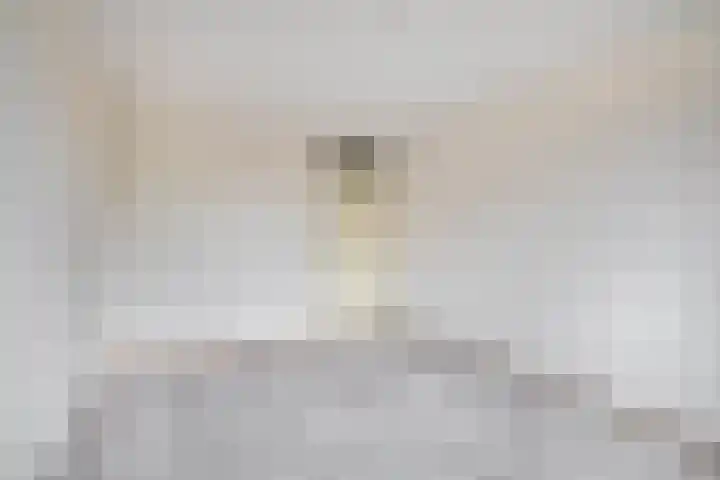 Hogeweg 3 Venlo thumbnail 14