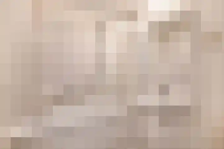 Hogeweg 3 Venlo thumbnail 16