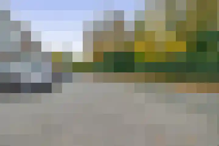 Hogeweg 3 Venlo thumbnail 21