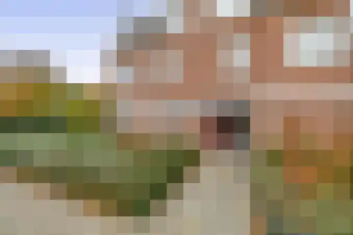 Hogeweg 3 Venlo thumbnail 23