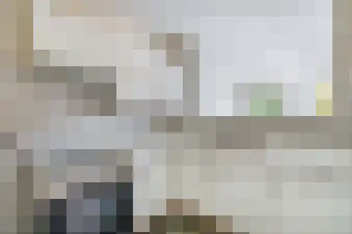 Hogeweg 3 Venlo thumbnail 8
