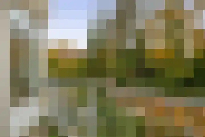 Hogeweg 3 Venlo thumbnail 9