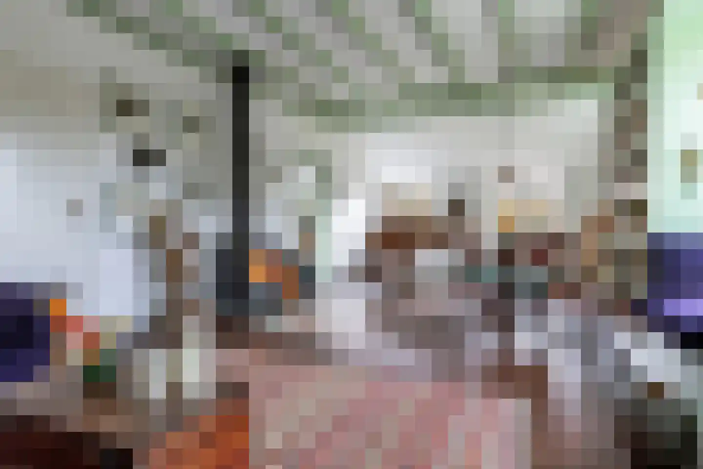 Hogeweg 3 Zuidlaren thumbnail 13