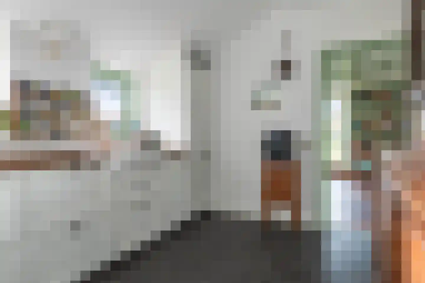 Hogeweg 3 Zuidlaren thumbnail 21