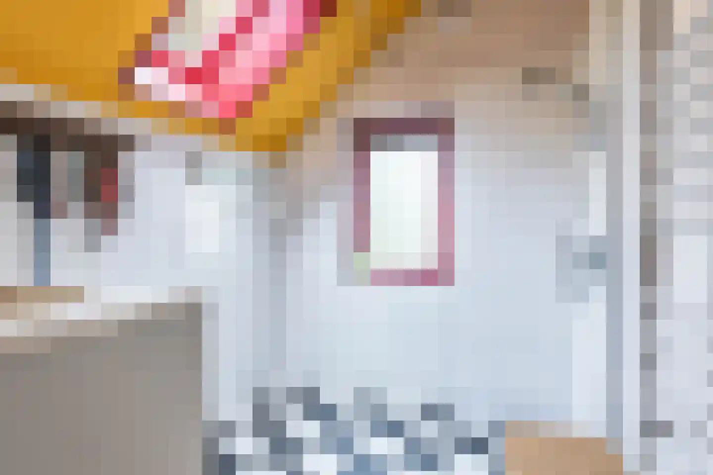 Hogeweg 3 Zuidlaren thumbnail 25