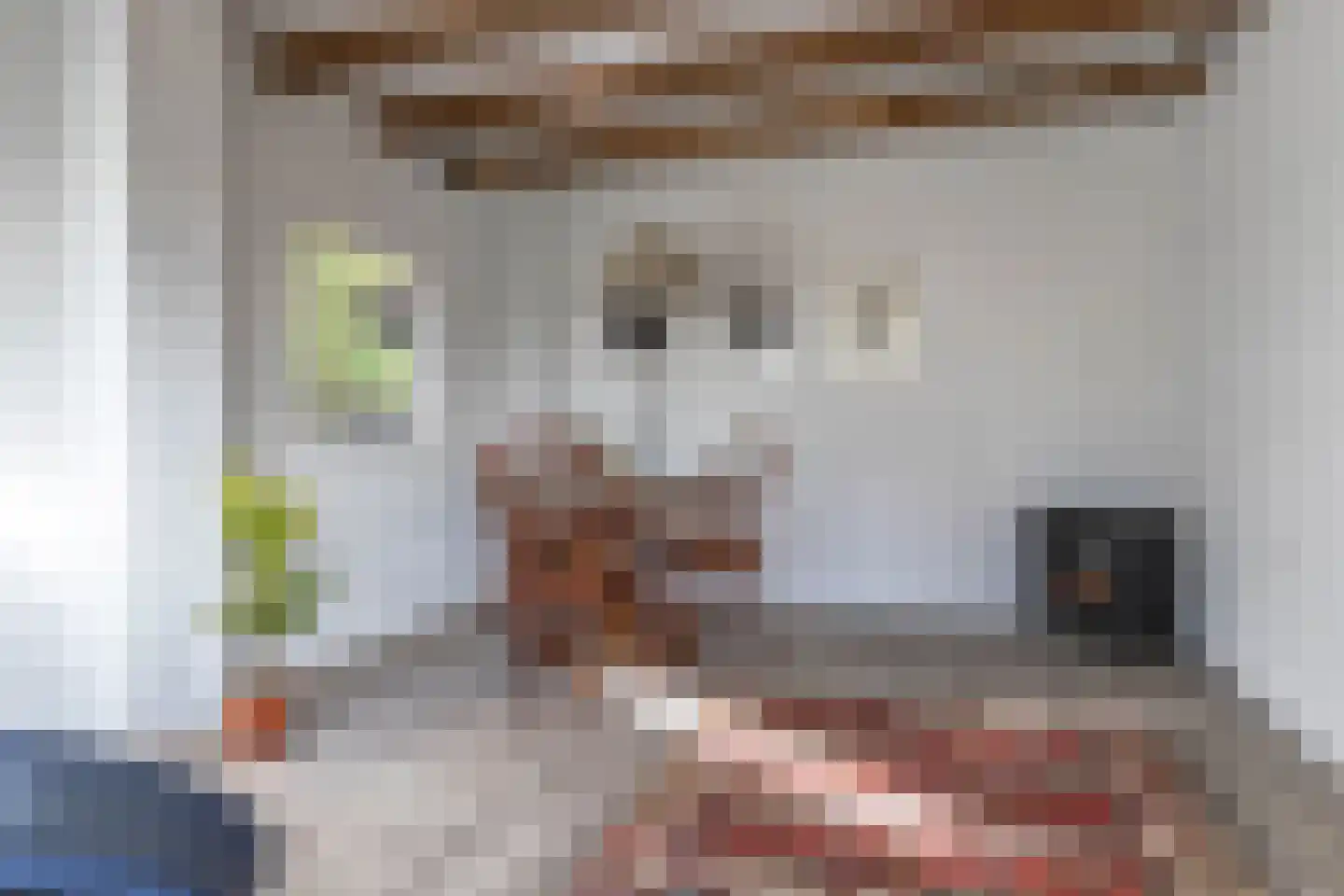 Hogeweg 3 Zuidlaren thumbnail 32