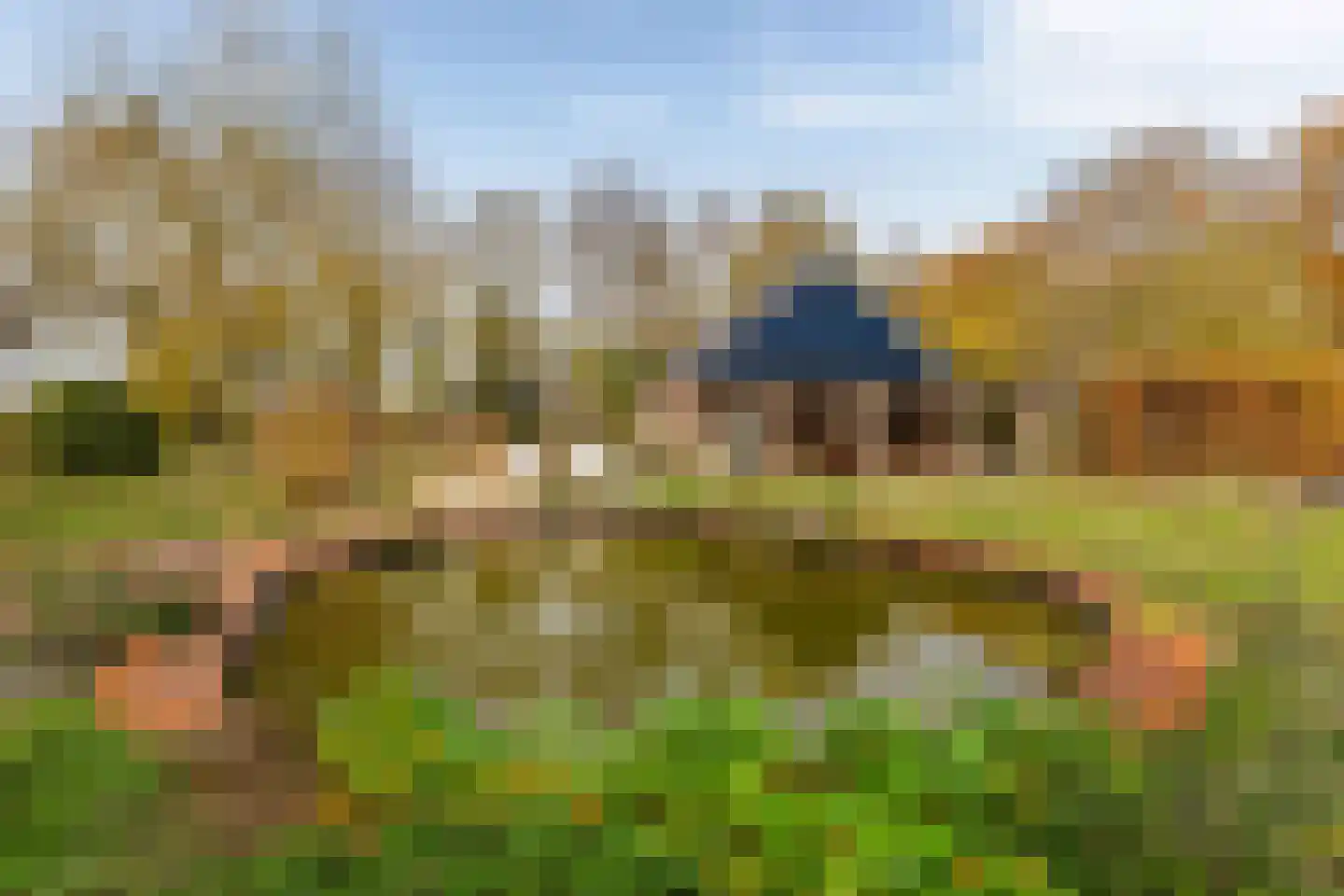 Hogeweg 3 Zuidlaren thumbnail 38