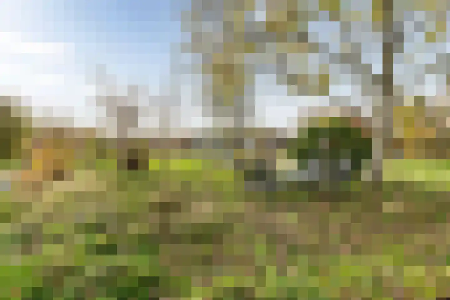 Hogeweg 3 Zuidlaren thumbnail 39