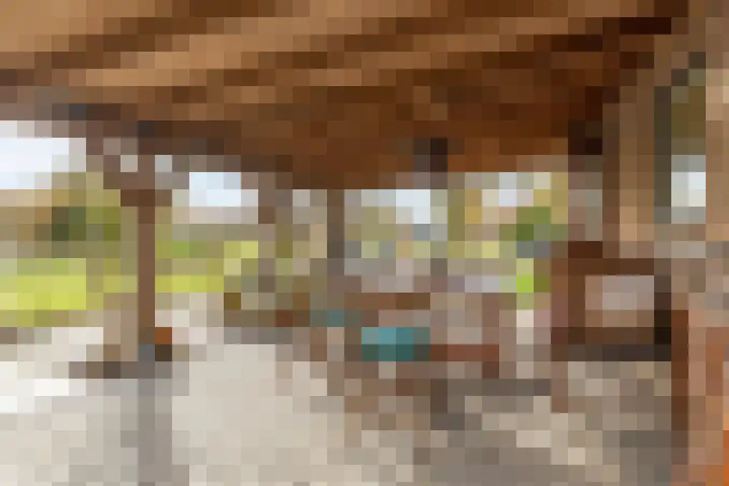 Hogeweg 3 Zuidlaren thumbnail 4