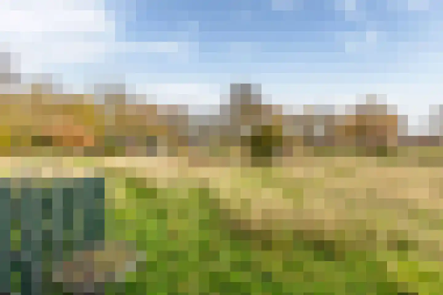 Hogeweg 3 Zuidlaren thumbnail 40