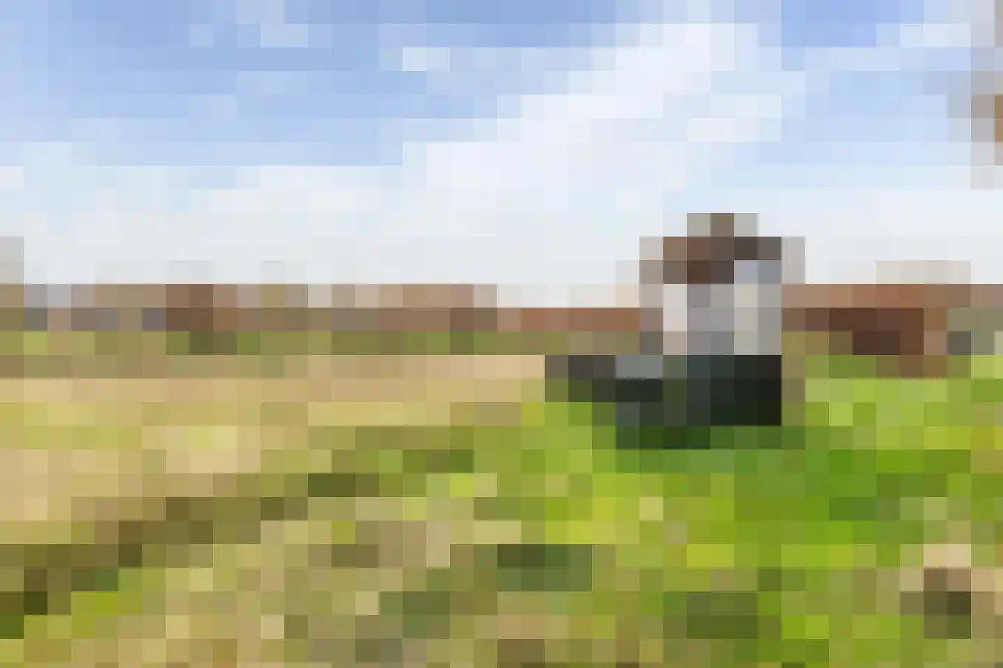 Hogeweg 3 Zuidlaren thumbnail 41