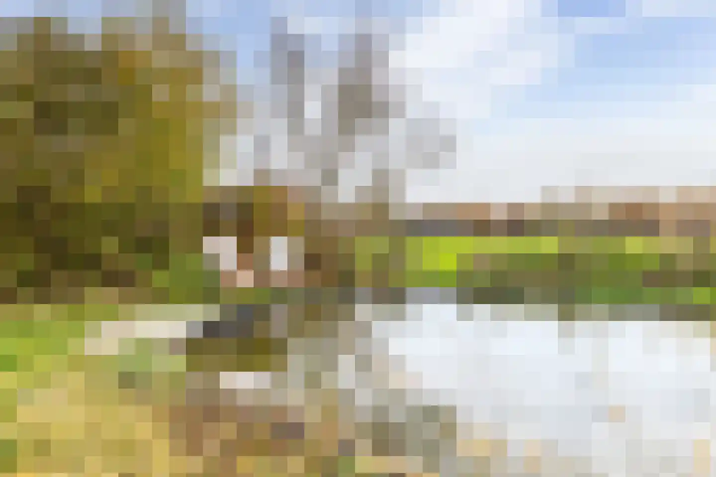 Hogeweg 3 Zuidlaren thumbnail 42