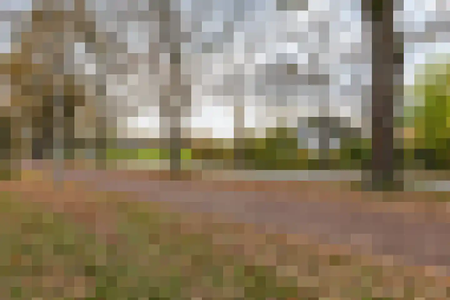 Hogeweg 3 Zuidlaren thumbnail 5