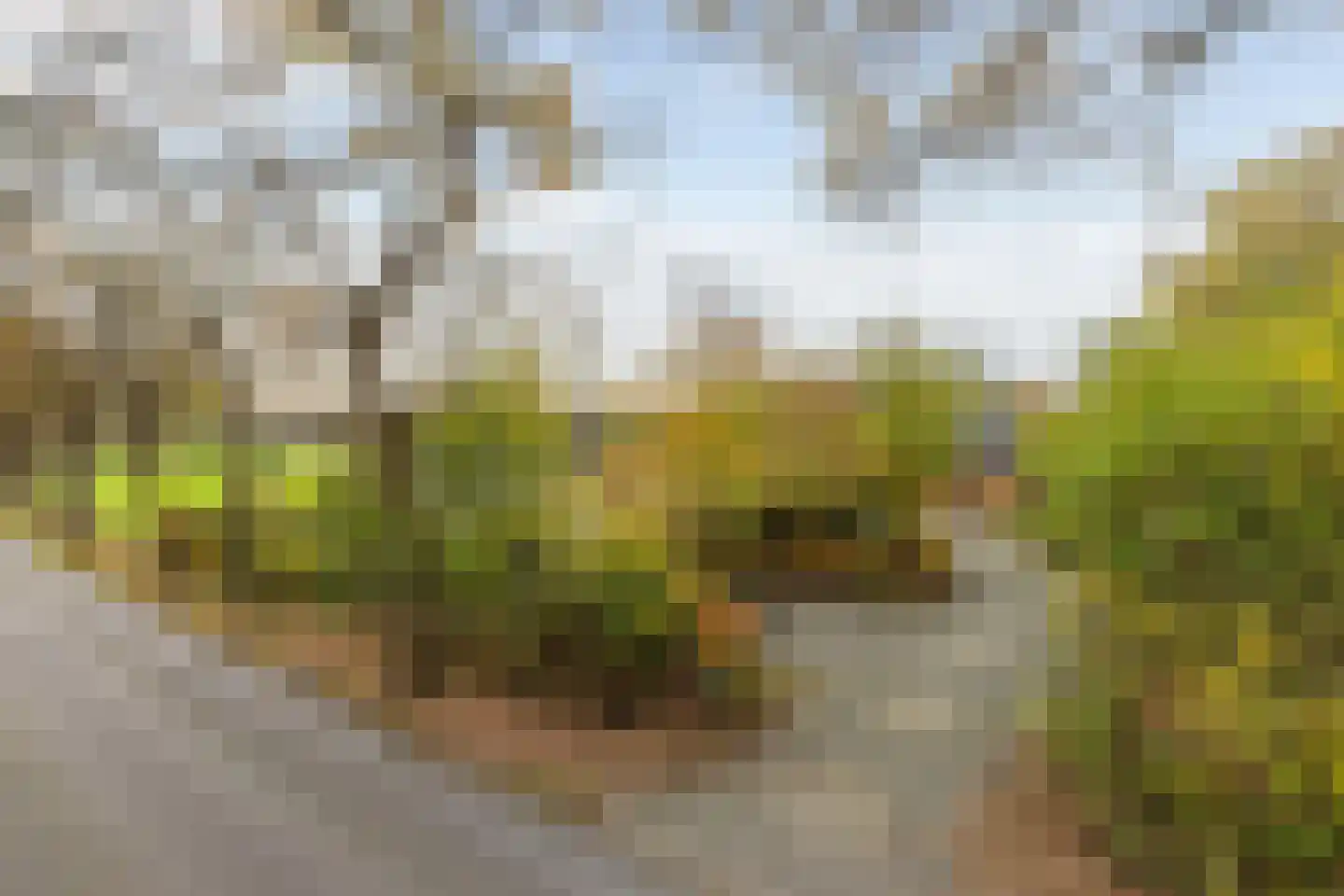 Hogeweg 3 Zuidlaren thumbnail 6