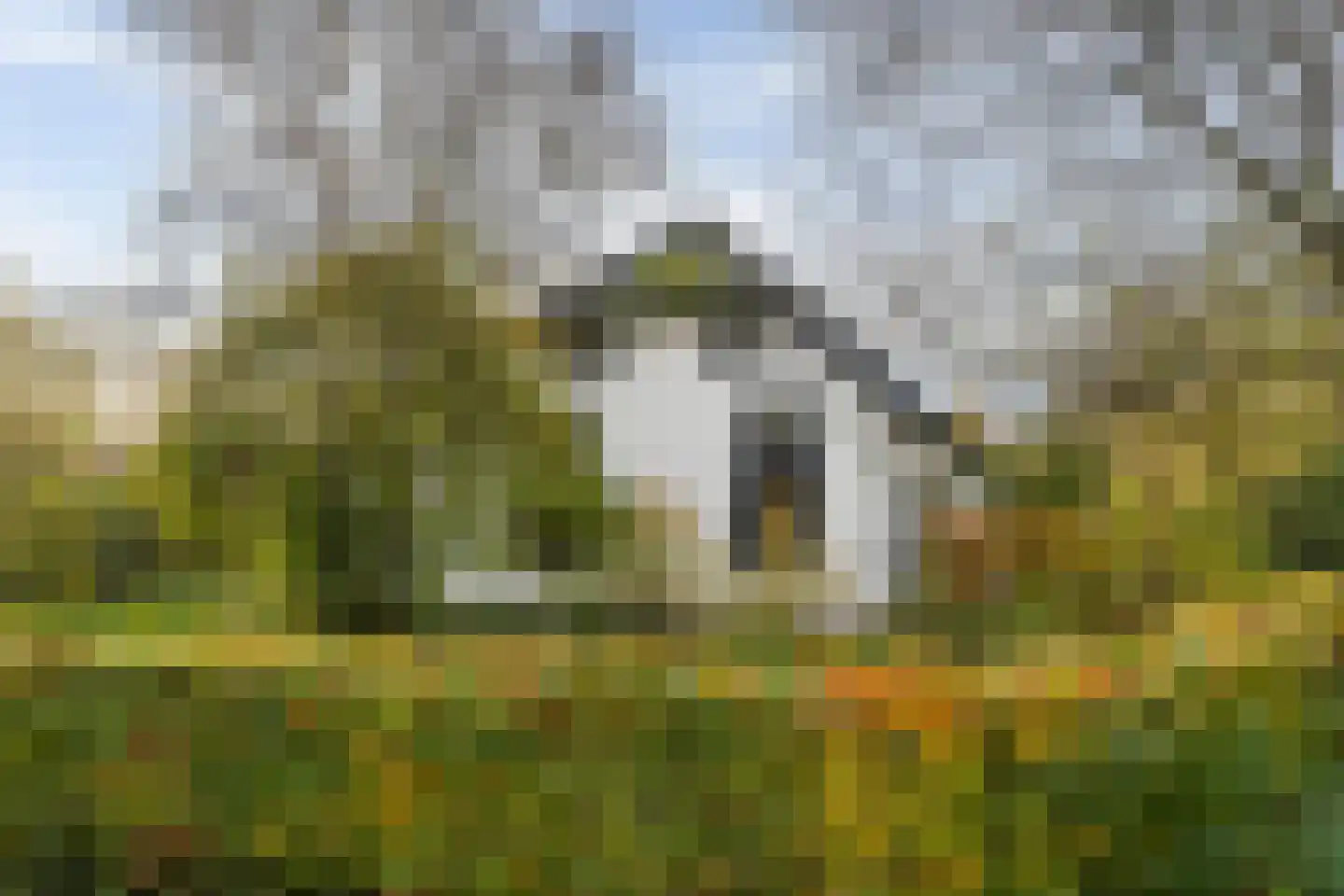 Hogeweg 3 Zuidlaren thumbnail 7