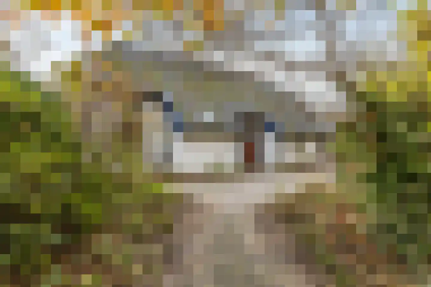Hogeweg 3 Zuidlaren thumbnail 8
