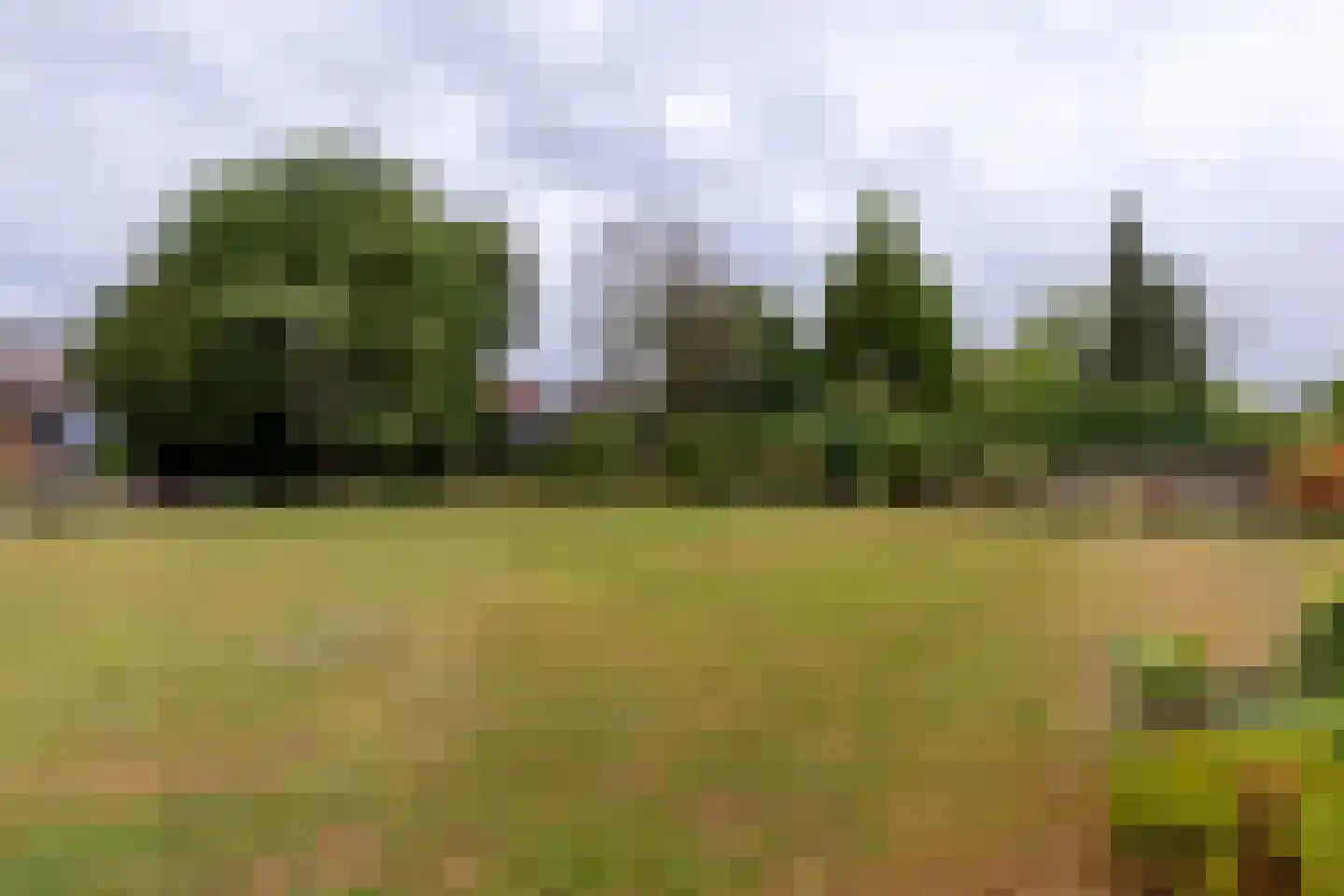 Hogeweg 30 Voerendaal thumbnail 22