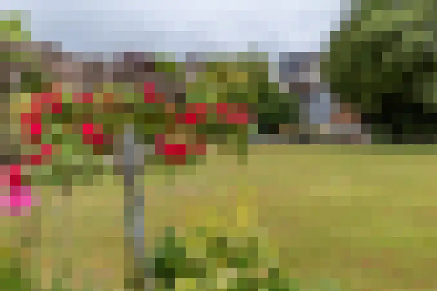 Hogeweg 30 Voerendaal thumbnail 24
