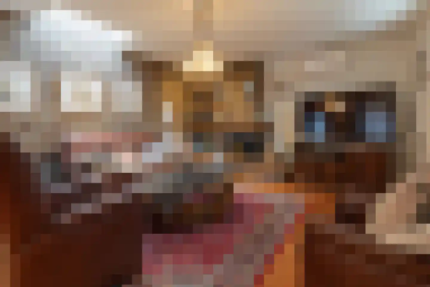 Hogeweg 30 Voerendaal thumbnail 6