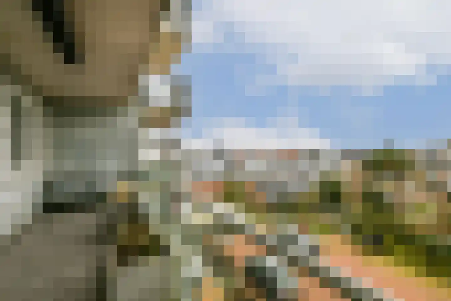 Hogeweg 32 a 4 Zandvoort thumbnail 17