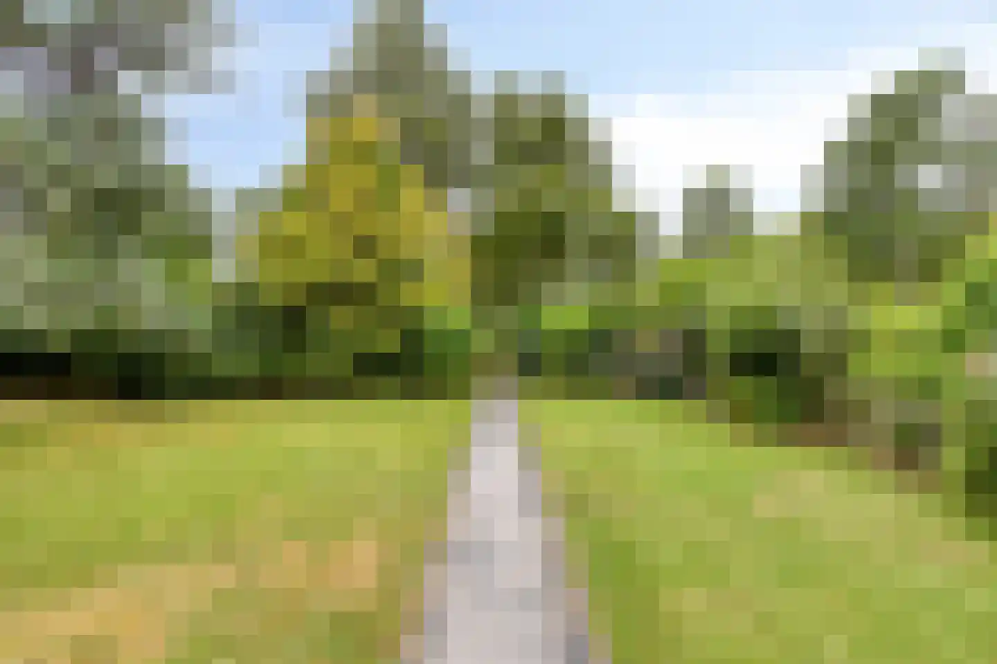 Hogeweg 34 a 0016 Burgh-Haamstede thumbnail 41
