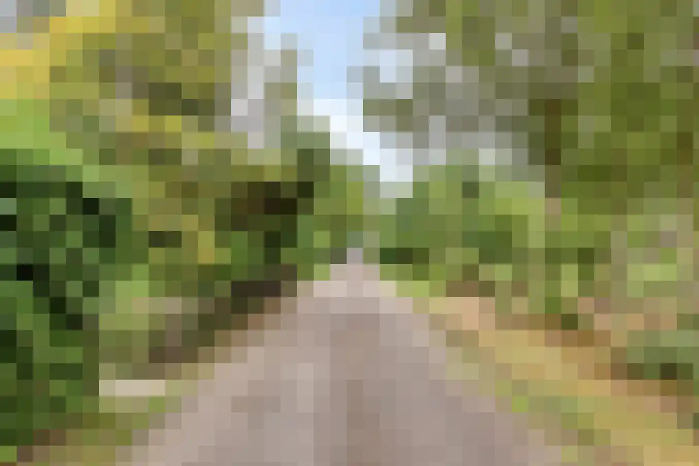 Hogeweg 34 a 0016 Burgh-Haamstede thumbnail 43