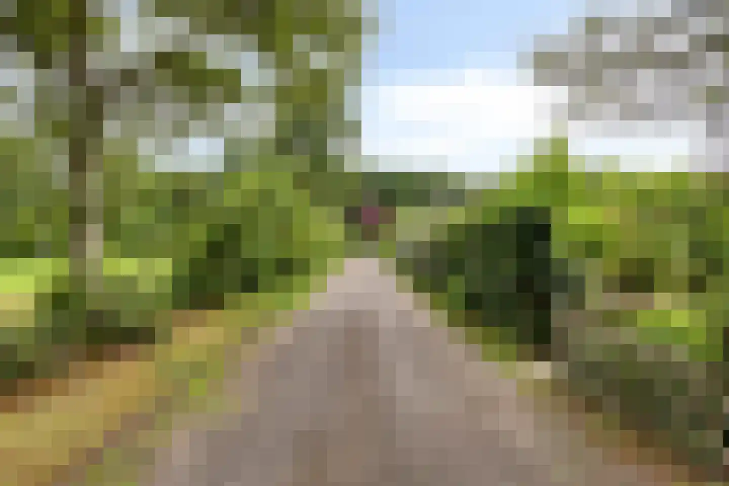 Hogeweg 34 a 0016 Burgh-Haamstede thumbnail 44