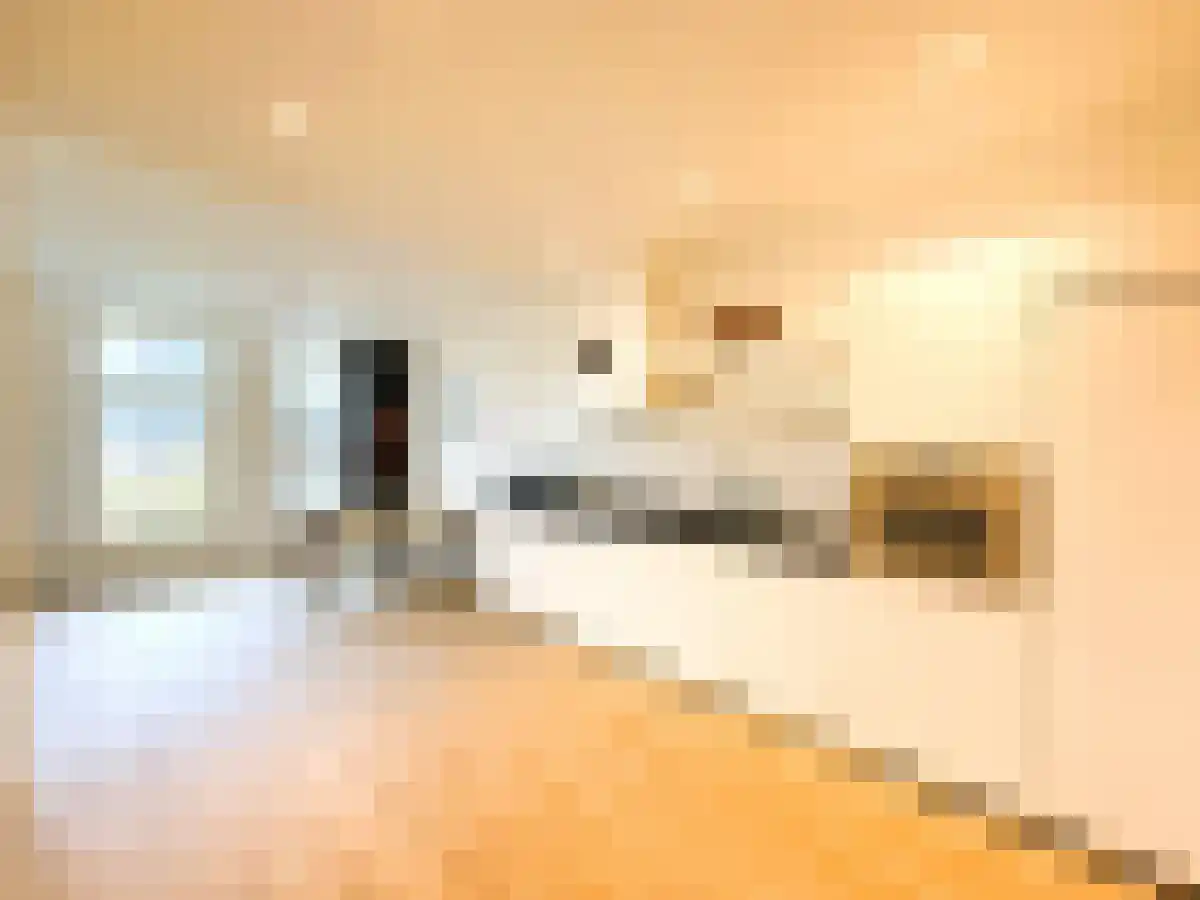 Hogeweg 35 Amsterdam thumbnail 4