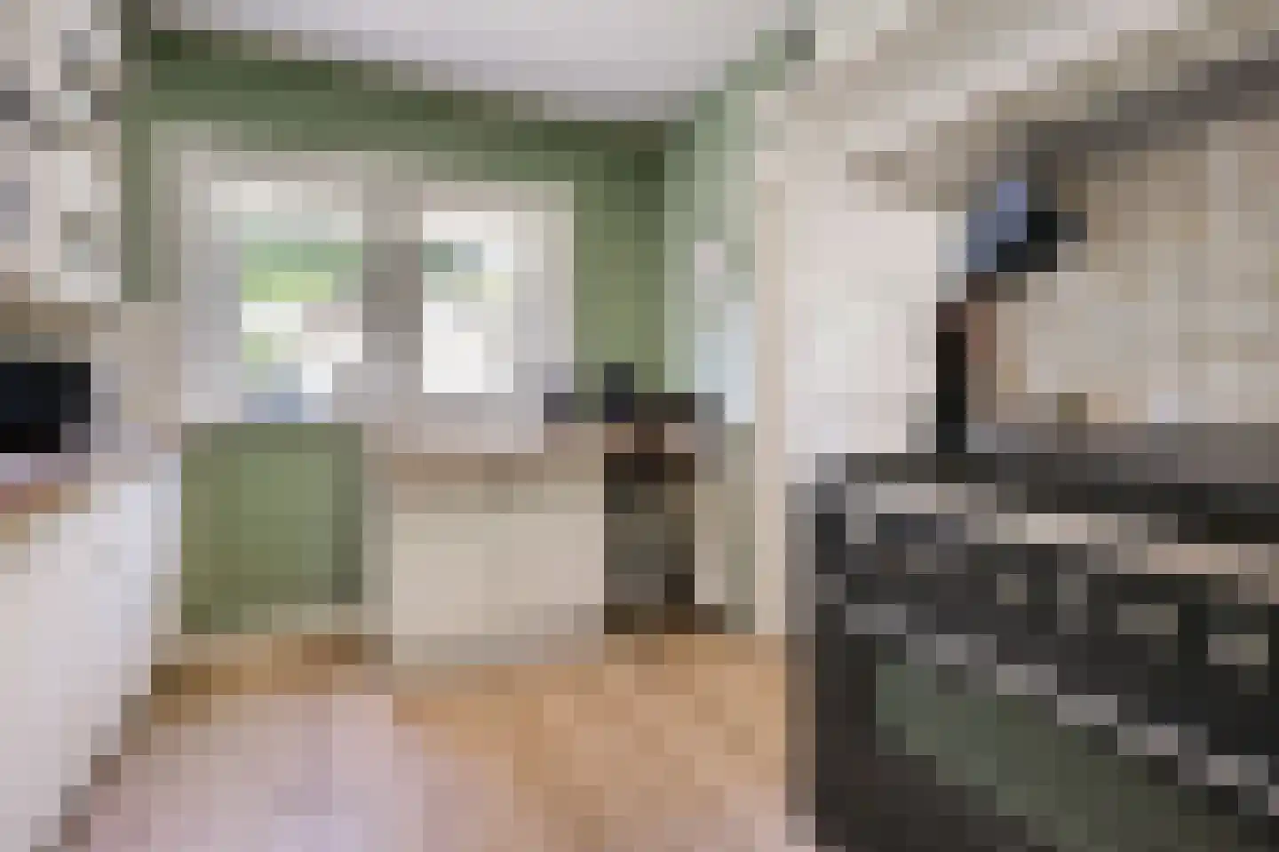 Hogeweg 35 Velp thumbnail 14