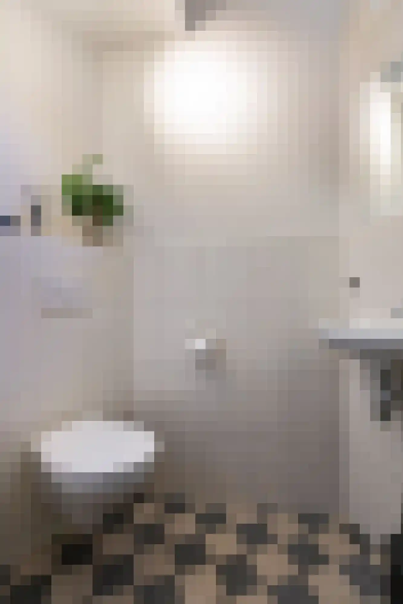 Hogeweg 35 Velp thumbnail 18