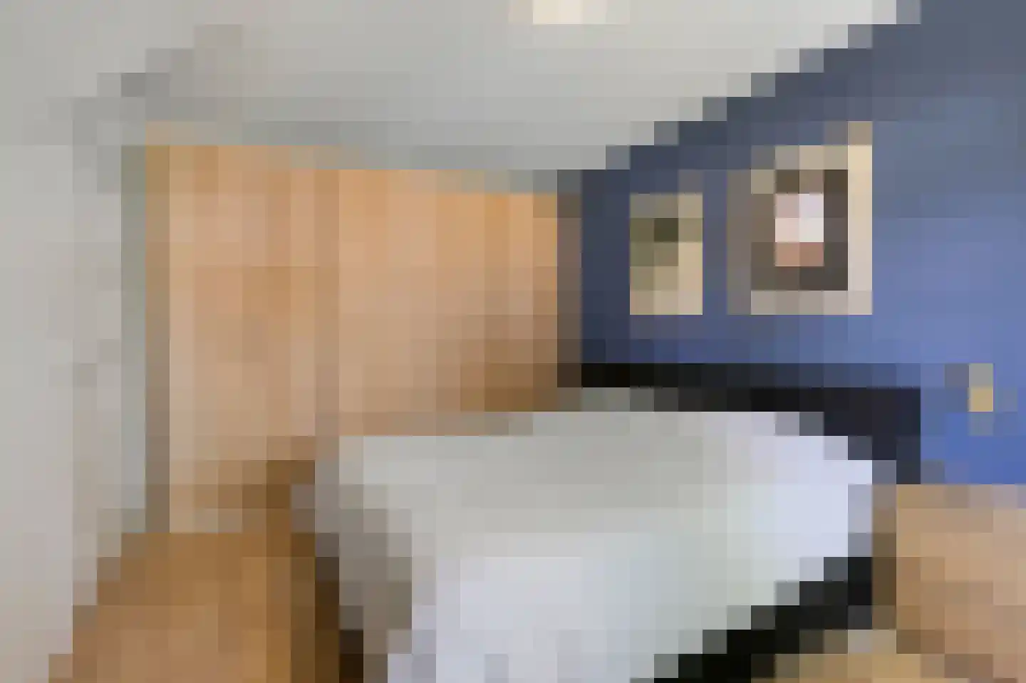 Hogeweg 35 Velp thumbnail 22