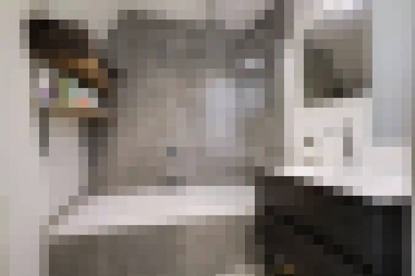 Hogeweg 35 Velp thumbnail 23