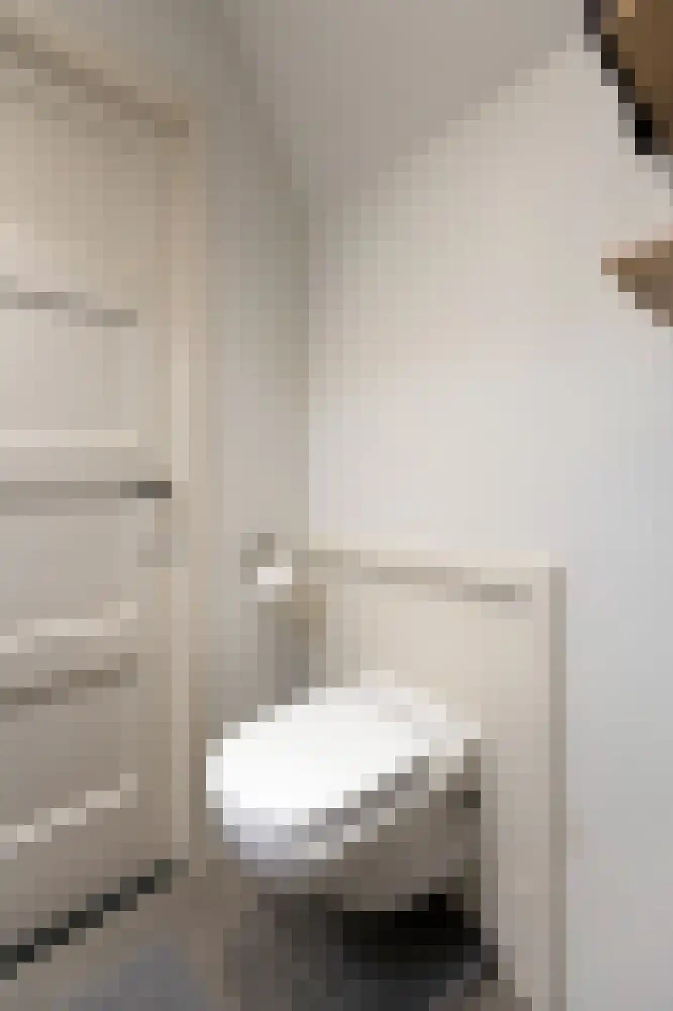 Hogeweg 35 Velp thumbnail 25