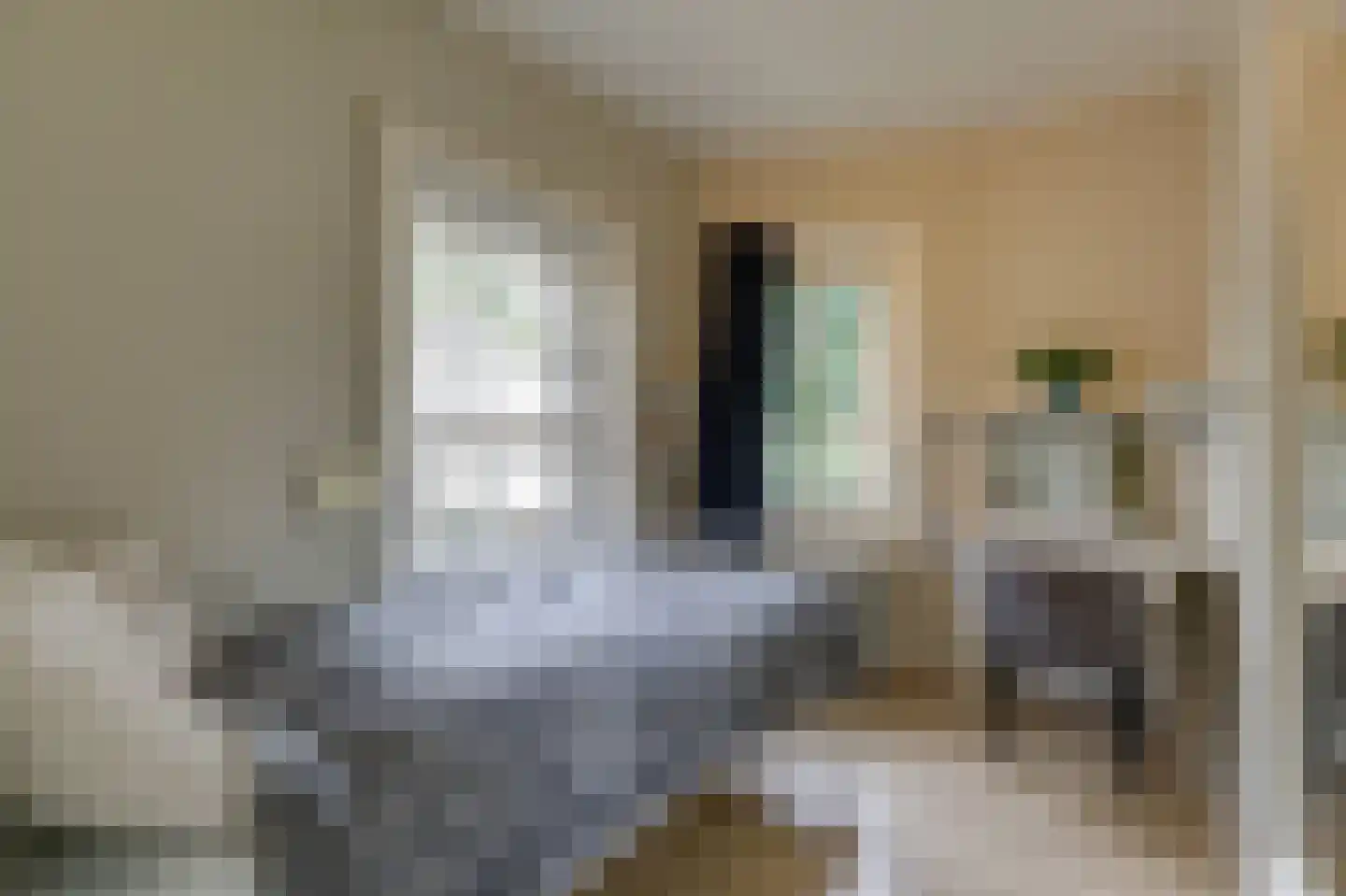 Hogeweg 35 Velp thumbnail 28